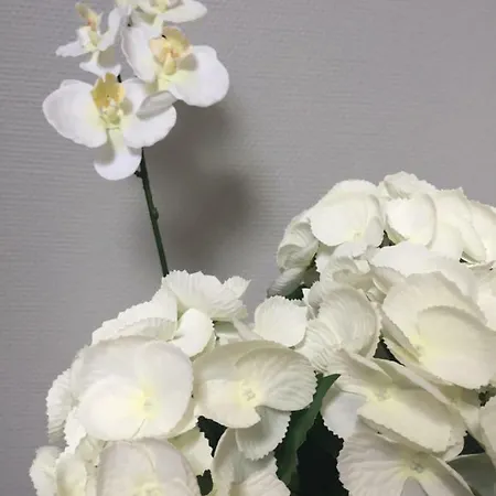 Apartman Ferme Simon-jacuzzi